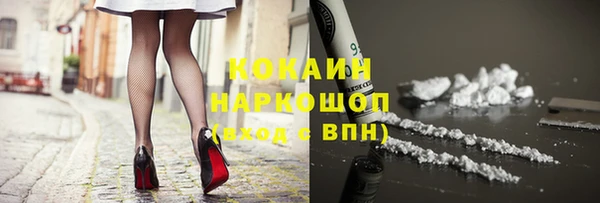 крисы Алексин