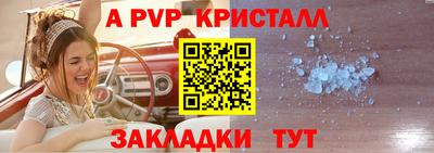спиды Канаш