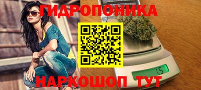 не бодяженный Камышлов